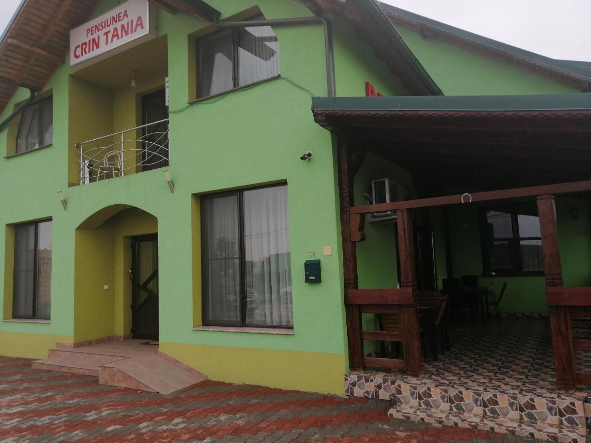 Pensiunea Maria Tania - Restaurant Mioveni Zewnętrze zdjęcie